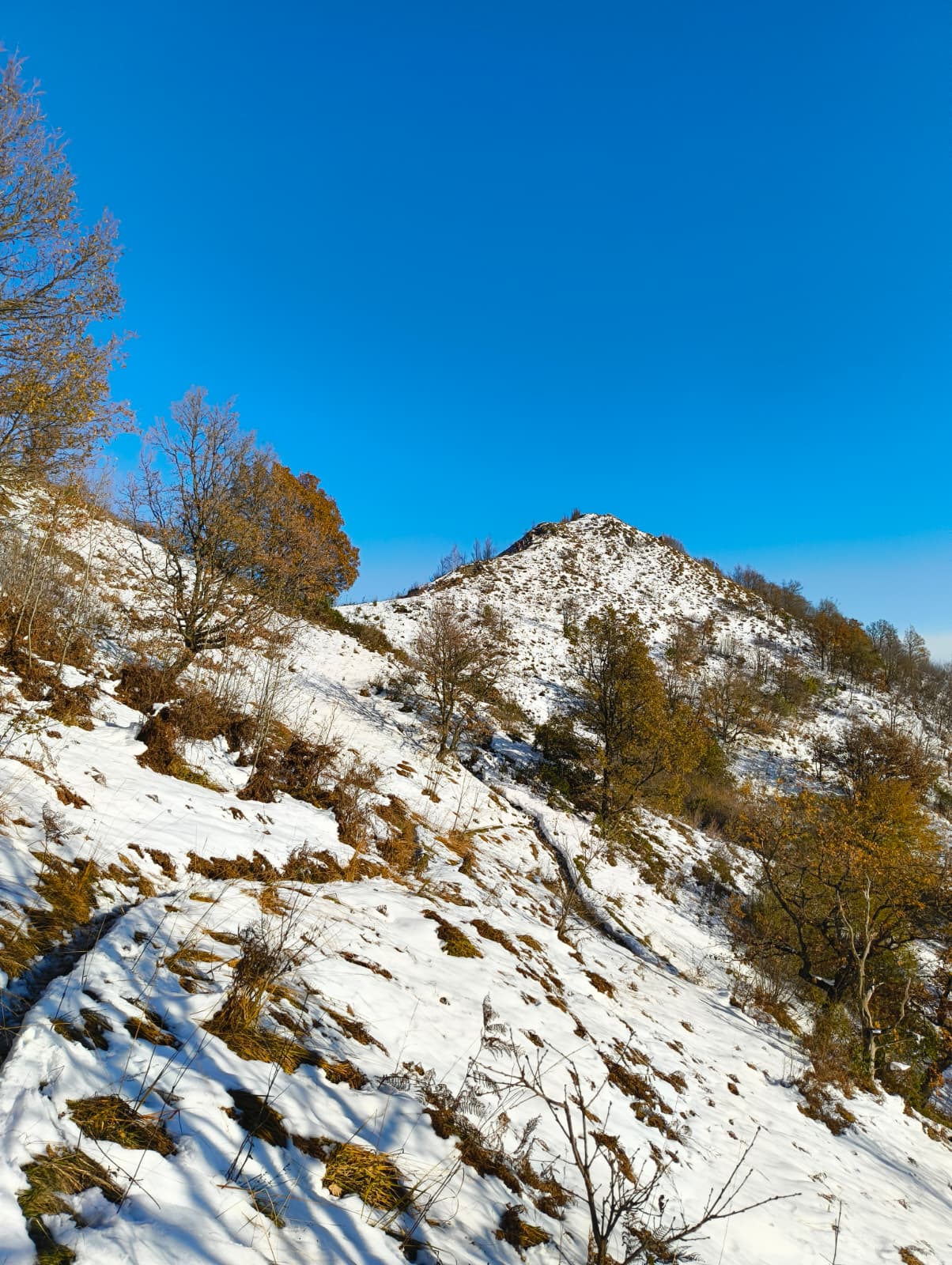 Foto n° 3 del trekking Monte Barro Innevato